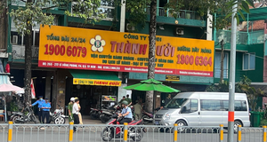 Phó Giám đốc Công ty Thành Bưởi đối diện với án phạt nào?