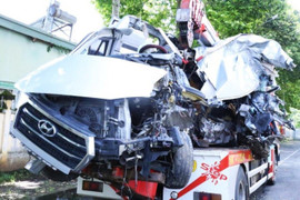 Phó Giám đốc Công ty Thành Bưởi đối diện với án phạt nào?