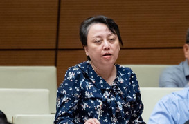 ĐBQH: Hàn Quốc mất 2 tháng, Việt Nam mất 2 năm để cập nhật danh mục thuốc