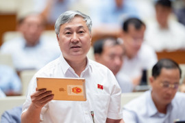 Đại biểu Quốc hội: Nhiều chính sách thuế lạc hậu hàng chục năm