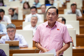 ĐBQH: Làm dự án vài trăm ha mà đi thoả thuận với từng người dân là không khả thi