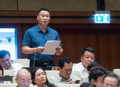 Đề nghị mở rộng đối tượng cho thuê đất không qua đấu giá