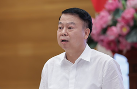 Phó Giám đốc Công ty Thành Bưởi đối diện với án phạt nào?