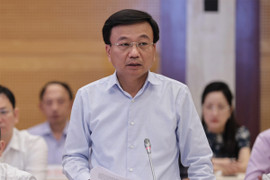 Phó Giám đốc Công ty Thành Bưởi đối diện với án phạt nào?