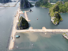 Phạt 125 triệu đồng chủ đầu tư dự án đe doạ môi trường vùng đệm vịnh Hạ Long