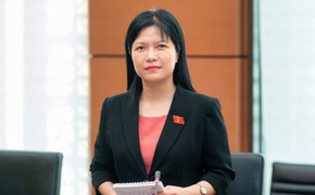 Phó Giám đốc Công ty Thành Bưởi đối diện với án phạt nào?