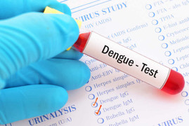 Sốt xuất huyết ở Hà Nội hạ nhiệt