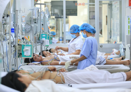 Sốt xuất huyết ở Hà Nội hạ nhiệt