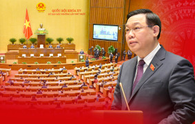 Quốc hội giơ tay, Quốc hội tranh biện, Quốc hội đồng hành