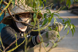 Những phiên chợ cầu may độc đáo dịp đầu năm