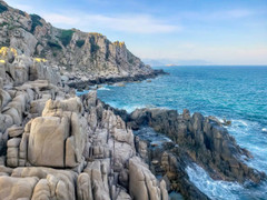 300 con cừu đeo nơ trình diễn 'catwalk' trên phố tại Ninh Thuận