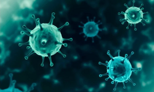 Bộ Y tế thông tin về biến thể JN.1 của virus SARS-CoV-2 gia tăng nhanh