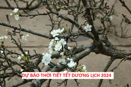 Các địa phương bắn pháo hoa dịp Tết Dương lịch 2024