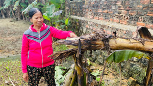 Thăng quân hàm từ Đại úy lên Thiếu tá cho phi công lái Su-22 rơi ở Quảng Nam