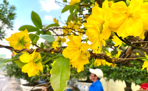 Chợ hoa Hà Nội đông nghẹt ngày giáp Tết, tấp nập mua bán suốt đêm