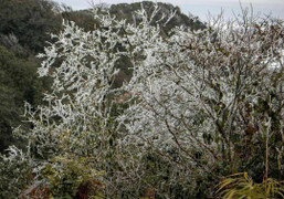 Dự báo thời tiết 10 ngày từ đêm 25/1 đến 4/1 và cảnh báo rét hại Bắc - Trung Bộ