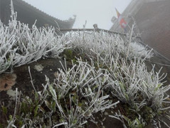 Dự báo thời tiết 10 ngày từ đêm 25/1 đến 4/1 và cảnh báo rét hại Bắc - Trung Bộ