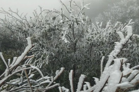 Dự báo thời tiết 10 ngày từ đêm 25/1 đến 4/1 và cảnh báo rét hại Bắc - Trung Bộ