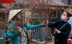 Dự báo thời tiết 10 ngày từ đêm 12/2 đến 22/2 cho Hà Nội và cả nước