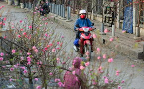 Dự báo thời tiết 10 ngày từ đêm 12/2 đến 22/2 cho Hà Nội và cả nước