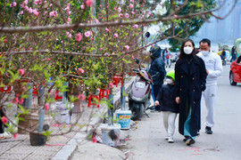 Dự báo thời tiết 10 ngày từ đêm 12/2 đến 22/2 cho Hà Nội và cả nước