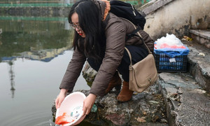 Dự báo thời tiết 10 ngày từ đêm 12/2 đến 22/2 cho Hà Nội và cả nước