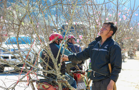 Dự báo thời tiết 10 ngày từ đêm 12/2 đến 22/2 cho Hà Nội và cả nước