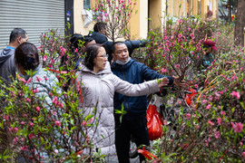 Dự báo thời tiết 10 ngày từ đêm 12/2 đến 22/2 cho Hà Nội và cả nước