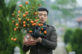 Dự báo thời tiết 10 ngày từ đêm 12/2 đến 22/2 cho Hà Nội và cả nước