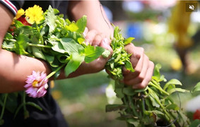 Người kinh doanh tồi mới phải đập bỏ hoa trên phố