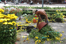 Người kinh doanh tồi mới phải đập bỏ hoa trên phố