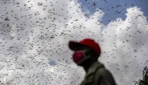 Đầu năm gia tăng nắng nóng, cuối năm mưa bão dồn dập