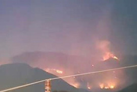 Những vạt rừng trơ trụi sau đám cháy tại Vườn quốc gia Hoàng Liên