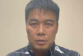 Trước Hậu ‘Pháo’, những đại gia bất động sản nào bị bắt?