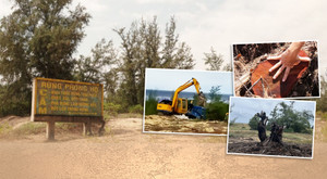 Rừng phòng hộ 'chết oan' ở Bình Định: Rừng mất, người than khóc