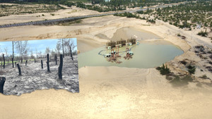 Rừng phòng hộ 'chết oan' ở Bình Định: Rừng mất, người than khóc