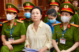 Viện kiểm sát đề nghị giảm hình phạt cho em dâu Trương Mỹ Lan