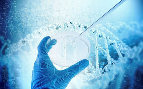 Nữ kiến trúc sư đến bệnh viện xin tinh trùng để làm mẹ đơn thân