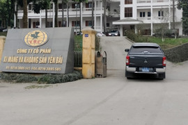 Tai nạn lao động 7 người chết ở Yên Bái: Khởi tố 1 nhân viên nhà máy xi măng