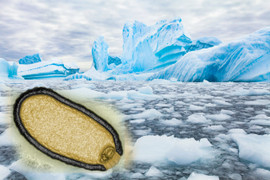 Đầu năm gia tăng nắng nóng, cuối năm mưa bão dồn dập