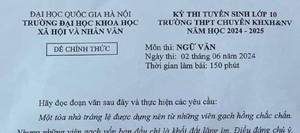 Đề văn vào lớp 10 về nghề đóng gạch gây tranh cãi