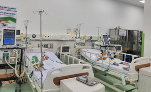 Người nhà nhờ thầy lang 'hút nọc' rắn độc cắn, bé gái nguy kịch