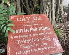 Gìn giữ cây đa do Tổng Bí thư Nguyễn Phú Trọng trồng như di sản cho hậu thế