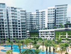 TP.HCM chốt tính thuế theo bảng giá đất cũ cho gần 9.000 hồ sơ bị 'treo' từ 1/8