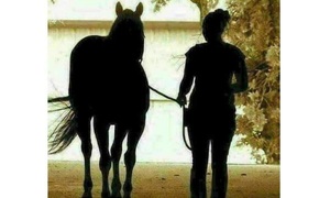 Tưởng dễ mà rất khó: Cô gái và con ngựa đang đi hay đến?