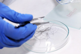 Bị trêu 'bé không giống bố', người đàn ông bí mật mang tóc con xét nghiệm ADN