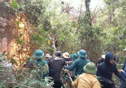 Tham gia chữa cháy, 2 cán bộ ban quản lý rừng Nghệ An bị thương nặng