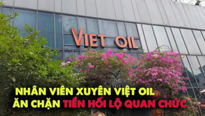 Số dư Quỹ bình ổn giá xăng dầu có 2 triệu, Xuyên Việt Oil nâng khống lên 219 tỷ