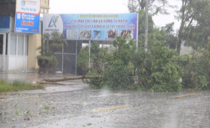 Hà Nội phát lệnh báo động lũ cấp 1 trên sông Hồng