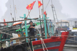 Hà Nội phát lệnh báo động lũ cấp 1 trên sông Hồng